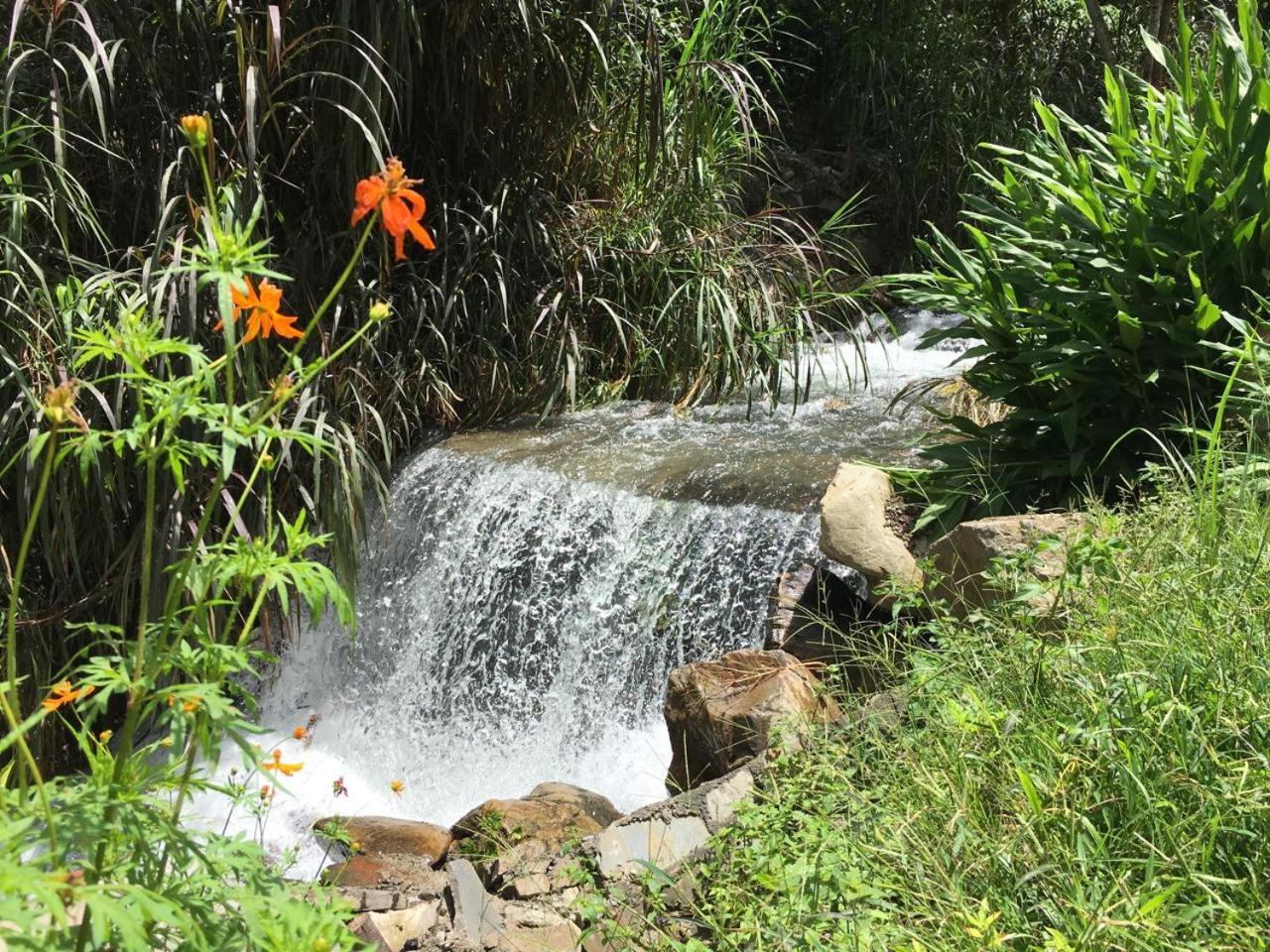 Madera Verde Ecolodge Maranura Eksteriør bilde